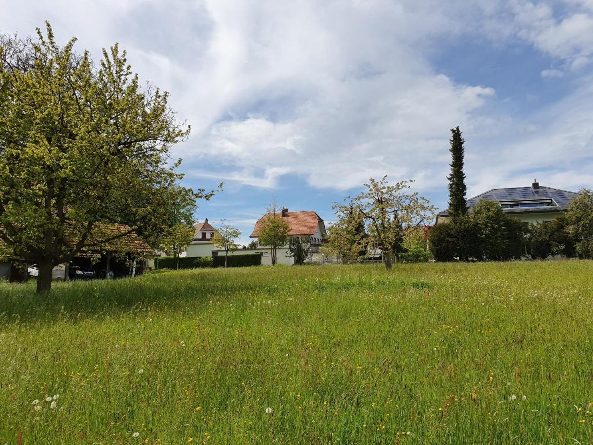 Bed N Bureau Roggwil Apartment Roggwil  Екстериор снимка
